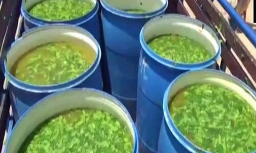 เดเตเดฑเตเดฃเดฏเต เดเตเดฑเตเดเตเดเดพเดจเตโ เดฎเดเตเดเดณเตโ-เดเดฐเดฟเดตเตเดชเตเดชเต เดฎเดฟเดถเตเดฐเดฟเดคเด เดคเตเดณเดฟเดเตเดเต เดฐเดพเดฎเดจเดพเดฅเดชเตเดฐเด เดจเดฟเดตเดพเดธเดฟเดเดณเตโ เดเตเดฑเตเดฃเดฏเต เดเตเดฑเตเดเตเดเดพเดจเตโ เดฎเดเตเดเดณเตโ-เดเดฐเดฟเดตเตเดชเตเดชเต เดฎเดฟเดถเตเดฐเดฟเดคเด เดคเตเดณเดฟเดเตเดเต เดฐเดพเดฎเดจเดพเดฅเดชเตเดฐเด เดจเดฟเดตเดพเดธเดฟเดเดณเตโ