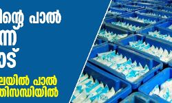 കേരളത്തിലെ പാൽ വേണ്ടെന്ന് തമിഴ്നാട്; ​മല​ബാ​ർ മേഖലയിൽ പാ​ൽ സം​ഭ​ര​ണം പ്ര​തി​സ​ന്ധി​യി​ൽ