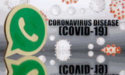 കൊവിഡ് 19: ആധികാരിക വിവരങ്ങള്‍ക്ക് വാട്ട്‌സാപ്പ് ചാറ്റ് ബോട്ട്