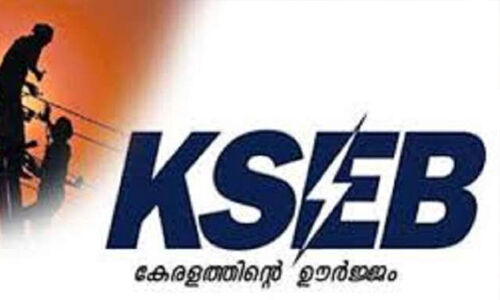 ലോക്ക് ഡൗണ്‍ കാലത്ത് എങ്ങനെ വൈദ്യുതി ബില്ലടയ്ക്കും?