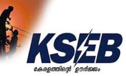 ലോക്ക് ഡൗണ് കാലത്ത് എങ്ങനെ വൈദ്യുതി ബില്ലടയ്ക്കും? ലോക്ക് ഡൗണ് കാലത്ത് എങ്ങനെ വൈദ്യുതി ബില്ലടയ്ക്കും?