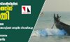 സംസ്ഥാനത്ത് നിയന്ത്രിത രീതിയിൽ മത്സ്യബന്ധനത്തിന് അനുമതി സംസ്ഥാനത്ത് നിയന്ത്രിത രീതിയിൽ മത്സ്യബന്ധനത്തിന് അനുമതി