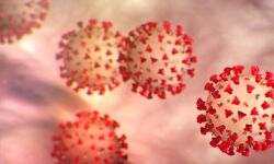 വയനാട്ടില് 10,753 പേര് നിരീക്ഷണത്തില് വയനാട്ടില് 10,753 പേര് നിരീക്ഷണത്തില്