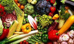 വയനാട്ടില് കാര്ഷികോല്പ്പന്നങ്ങള് സഹകരണ സംഘങ്ങള് വഴി സംഭരിക്കും വയനാട്ടില് കാര്ഷികോല്പ്പന്നങ്ങള് സഹകരണ സംഘങ്ങള് വഴി സംഭരിക്കും