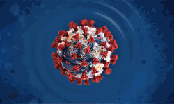 കൊറോണ പോലെയുള്ള മാരക രോഗത്തിന് മതത്തിന്റെ നിറം ചാര്‍ത്തരുത്: അബ്‌റാര്‍ ഉലമാ കൗണ്‍സില്‍