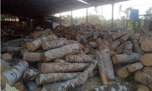 ലോക്ക് ഡൗണ്‍: തീപ്പെട്ടിക്കൊള്ളി നിര്‍മാണ യൂനിറ്റുകളിലെ പാഴ്മരങ്ങള്‍ ഉപയോഗിക്കാന്‍ അനുവദിക്കണമെന്ന് ആവശ്യം