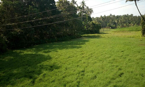 കണിച്ചാംതുറ ഓക്സ്ബോ തടാകം സംരക്ഷിക്കണം കണിച്ചാംതുറ ഓക്സ്ബോ തടാകം സംരക്ഷിക്കണം