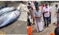 เดฎเตฝเดธเตเดฏ เดตเดฟเตฝเดชเตเดชเดจเดเตเดเดพเตผเดเตเดเตเดคเดฟเดฐเดพเดฏ เดเตเดขเดจเตเดเตเดเด เดคเดฟเดฐเดฟเดเตเดเดฑเดฟเดฏเดฃเด: เดเดธเตเดกเดฟเดชเดฟเด เดฎเตฝเดธเตเดฏ เดตเดฟเตฝเดชเตเดชเดจเดเตเดเดพเตผเดเตเดเตเดคเดฟเดฐเดพเดฏ เดเตเดขเดจเตเดเตเดเด เดคเดฟเดฐเดฟเดเตเดเดฑเดฟเดฏเดฃเด: เดเดธเตเดกเดฟเดชเดฟเด