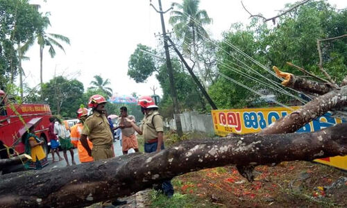 റോഡിനു കുറുകെ വാകമരം വീണു; ഒഴിവായത് വലിയ ദുരന്തം റോഡിനു കുറുകെ വാകമരം വീണു; ഒഴിവായത് വലിയ ദുരന്തം