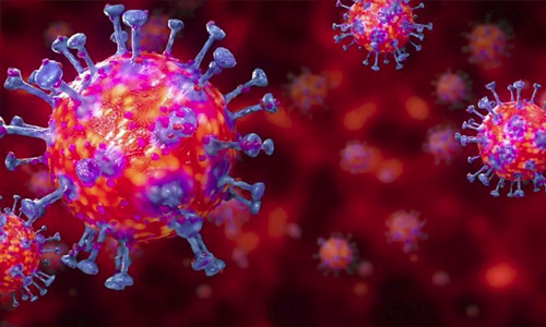 സംസ്ഥാനത്ത് ആദിവാസി കുടുംബങ്ങള്ക്കുള്ള ഭക്ഷ്യോത്പന്ന കിറ്റ് വിതരണം പൂര്ത്തിയാക്കിയ ആദ്യ ജില്ലയായി മലപ്പുറം സംസ്ഥാനത്ത് ആദിവാസി കുടുംബങ്ങള്ക്കുള്ള ഭക്ഷ്യോത്പന്ന കിറ്റ് വിതരണം പൂര്ത്തിയാക്കിയ ആദ്യ ജില്ലയായി മലപ്പുറം