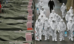 കൊവിഡ് മരണം 87000 കടന്നു;  അമേരിക്കയില്‍ 14,200