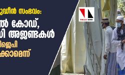 ഡല്‍ഹി നിസാമുദ്ധീന്‍ സംഭവം: ഏക സിവില്‍ കോഡ്, എന്‍ആര്‍സി അജണ്ടകള്‍ നടപ്പാക്കാന്‍ ബിജെപി ഉപയോഗിച്ചേക്കാമെന്ന് നിരീക്ഷകര്‍