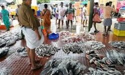 മാര്‍ക്കറ്റുകളില്‍ ആളുകള്‍ തടിച്ചുകൂടുന്നത് തടയാന്‍ കര്‍ശന നടപടി