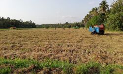 കോള്‍നില നാശത്തിന്റെ പേരില്‍ സര്‍ക്കാര്‍ സഹായം അനര്‍ഹമായി കൈപ്പറ്റുന്നതായി പരാതി