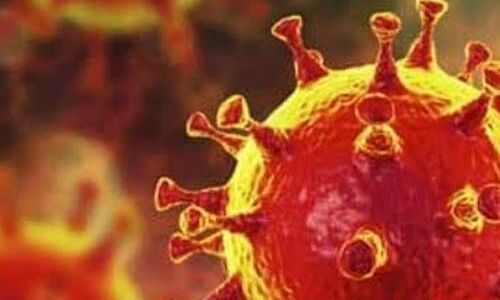 കൊവിഡ് 19: മലപ്പുറം ജില്ലയില് 68 പേര് കൂടി നിരീക്ഷണത്തില്, ആകെ നിരീക്ഷണത്തിലുള്ളത് 13,269 പേര് കൊവിഡ് 19: മലപ്പുറം ജില്ലയില് 68 പേര് കൂടി നിരീക്ഷണത്തില്, ആകെ നിരീക്ഷണത്തിലുള്ളത് 13,269 പേര്