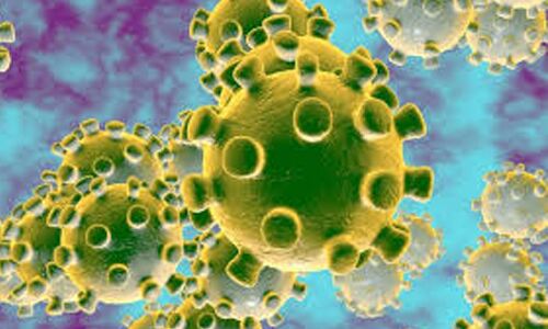 കൊവിഡ് 19: മലപ്പുറം ജില്ലയില് രോഗമുക്തരായ ആറ് പേര് വീടുകളിലേക്ക് മടങ്ങും കൊവിഡ് 19: മലപ്പുറം ജില്ലയില് രോഗമുക്തരായ ആറ് പേര് വീടുകളിലേക്ക് മടങ്ങും