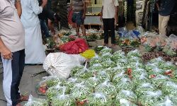 എസ് ഡി പി ഐ പച്ചക്കറി വിതരണം നടത്തി