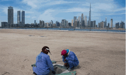 ഗള്ഫ് നാടുകളില് നോര്ക്ക പുതിയ ഹെല്പ്പ് ഡസ്കുകള് ആരംഭിച്ചു ഗള്ഫ് നാടുകളില് നോര്ക്ക പുതിയ ഹെല്പ്പ് ഡസ്കുകള് ആരംഭിച്ചു