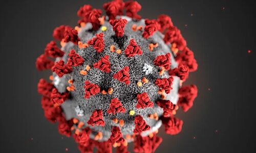 പ്രവാസികള്ക്കായി എം എസ് എസ് സ്ഥാപനങ്ങള് വിട്ടുനല്കും പ്രവാസികള്ക്കായി എം എസ് എസ് സ്ഥാപനങ്ങള് വിട്ടുനല്കും