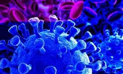 കൊവിഡ് 19: വയനാട്ടില്‍ 369 പേര്‍ നിരീക്ഷണകാലം പൂര്‍ത്തിയാക്കി