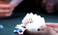 പണംവച്ച് ചീട്ടുകളി; തണ്ണിത്തോടും പന്തളത്തുമായി പത്തുപേർ പിടിയിൽ