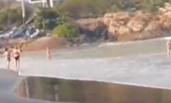 เดฒเตเดเตเดเตเดกเตเตบ เดฒเดเดเดฟเดเตเดเต เดเตเดตเดณเดคเตเดคเต เดตเดฟเดฆเตเดถ เดตเดฟเดจเตเดฆเดธเดเตเดเดพเดฐเดฟเดเตพ เดเดเดฒเดฟเดฒเดฟเดฑเดเตเดเดฟ เดฒเตเดเตเดเตเดกเตเตบ เดฒเดเดเดฟเดเตเดเต เดเตเดตเดณเดคเตเดคเต เดตเดฟเดฆเตเดถ เดตเดฟเดจเตเดฆเดธเดเตเดเดพเดฐเดฟเดเตพ เดเดเดฒเดฟเดฒเดฟเดฑเดเตเดเดฟ