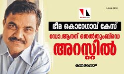 ഭീമ-കൊറെഗാവ് കേസ്: ആനന്ദ് തെല്‍തുംബ്‌ഡെ  എന്‍ഐഎയ്ക്കു മുന്നില്‍ കീഴടങ്ങി