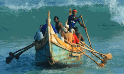 മല്‍സ്യബന്ധനത്തിന്  പരമ്പരാഗത മത്സ്യയാനങ്ങള്‍ക്ക് മാത്രം അനുമതി