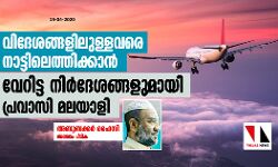 വിദേശങ്ങളിലുള്ളവരെ നാട്ടിലെത്തിക്കാന്‍ വേറിട്ട നിര്‍ദേശങ്ങളുമായി പ്രവാസി മലയാളി