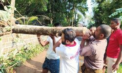 കാറ്റില്‍ വെളിയത്ത് നാട്ടില്‍ കൃഷിനാശം; കര്‍ഷകര്‍ക്ക് നഷ്ട പരിഹാരം നല്‍കണമെന്ന് എസ്ഡിപി ഐ