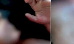 เดฎเตเดจเตเดจเต เดตเดฏเดธเตเดเดพเดฐเดฟเดฏเตเดเต เดฆเตเดนเดคเตเดคเตเดเตเดเต เดฎเตเดคเตเดคเดเตเดเตป เดคเดฟเดณเดเตเด เดฎเตเตปเดเดฑเดฟ เดเดดเดฟเดเตเดเต เดฎเตเดจเตเดจเต เดตเดฏเดธเตเดเดพเดฐเดฟเดฏเตเดเต เดฆเตเดนเดคเตเดคเตเดเตเดเต เดฎเตเดคเตเดคเดเตเดเตป เดคเดฟเดณเดเตเด เดฎเตเตปเดเดฑเดฟ เดเดดเดฟเดเตเดเต