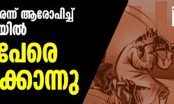 കവര്‍ച്ചക്കാരെന്ന് ആരോപിച്ച് മഹാരാഷ്ട്രയില്‍ മൂന്നുപേരെ തല്ലിക്കൊന്നു
