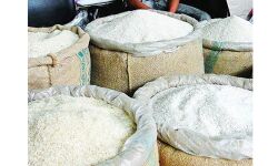 കൊവിഡ്-19 : എഎവൈ, പിഎച്ച്എച്ച് വിഭാഗങ്ങളിലെ ഗുണഭോക്താക്കള്ക്കുള്ള സൗജന്യ റേഷന് വിതരണം എറണാകുളത്ത് 20 ന് ആരംഭിക്കും കൊവിഡ്-19 : എഎവൈ, പിഎച്ച്എച്ച് വിഭാഗങ്ങളിലെ ഗുണഭോക്താക്കള്ക്കുള്ള സൗജന്യ റേഷന് വിതരണം എറണാകുളത്ത് 20 ന് ആരംഭിക്കും