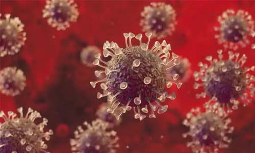 കോട്ടയം ജില്ലയിൽ 616 പേർക്ക് കൊവിഡ്; 1021 പേർക്കു രോഗമുക്തി