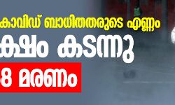 ലോകത്ത് കൊവിഡ് ബാധിതതരുടെ എണ്ണം 24 ലക്ഷം കടന്നു; 165,058 മരണം
