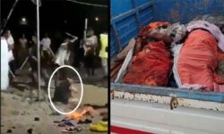 മഹാരാഷ്ട്രയിലെ ആള്ക്കൂട്ട കൊലപാതകം: അറസ്റ്റിലായവരില് ഭൂരിഭാഗവും ബിജെപി പ്രവര്ത്തകര്; സമഗ്രാന്വേഷണം വേണമെന്ന് കോണ്ഗ്രസ് മഹാരാഷ്ട്രയിലെ ആള്ക്കൂട്ട കൊലപാതകം: അറസ്റ്റിലായവരില് ഭൂരിഭാഗവും ബിജെപി പ്രവര്ത്തകര്; സമഗ്രാന്വേഷണം വേണമെന്ന് കോണ്ഗ്രസ്