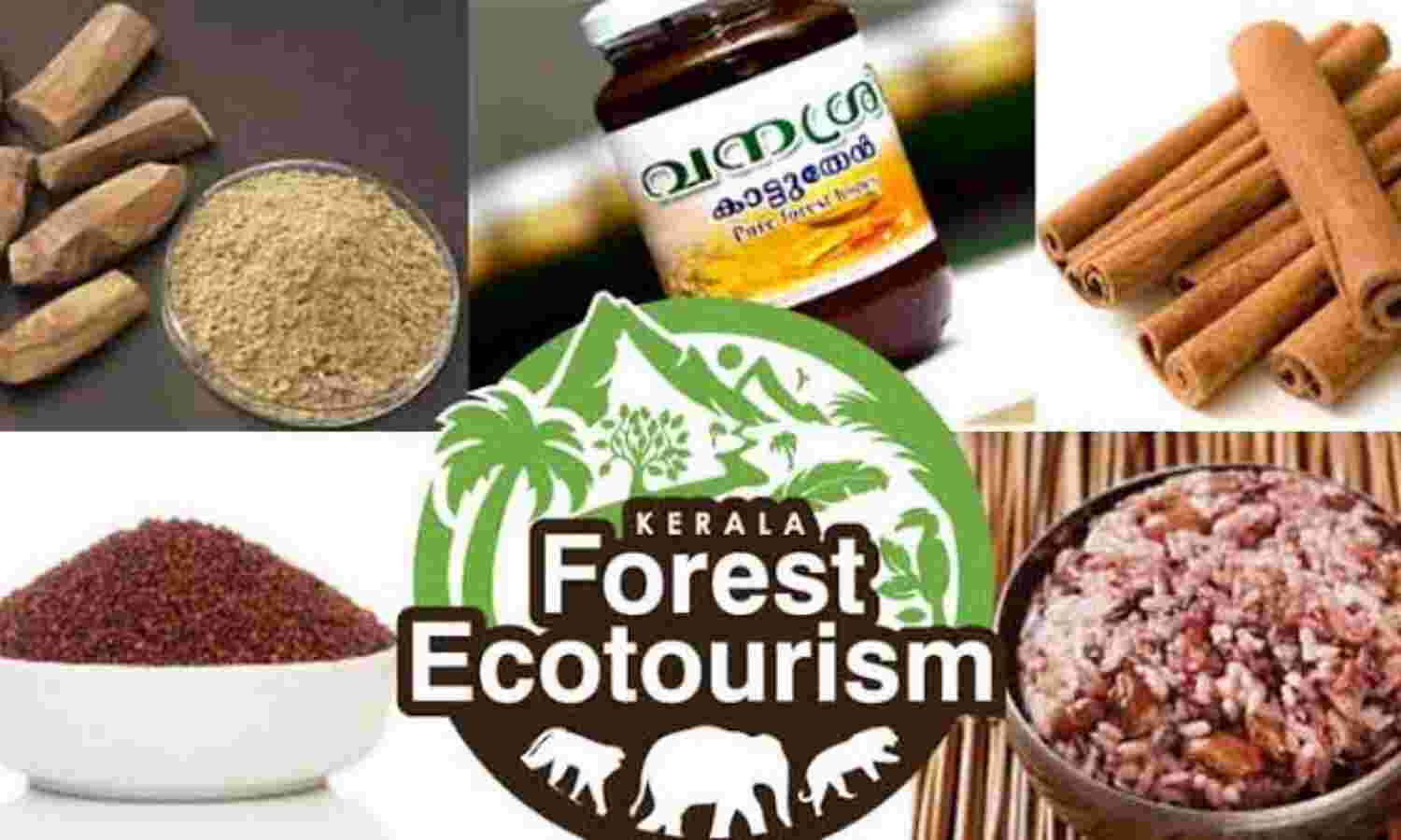 വനശ്രീ വിഭവങ്ങൾ ഇനി വീട്ടുമുറ്റത്ത്... വനശ്രീ വിഭവങ്ങൾ ഇനി വീട്ടുമുറ്റത്ത്...