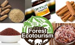 വനശ്രീ വിഭവങ്ങൾ ഇനി വീട്ടുമുറ്റത്ത്...