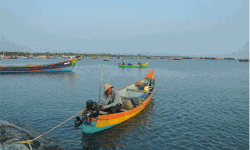 അനധികൃത മത്സ്യവില്‍പന നിര്‍ത്തിവെപ്പിച്ചു