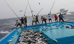 മത്സ്യതൊഴിലാളികള്‍ക്കു ജാഗ്രത നിര്‍ദേശം