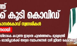 സംസ്ഥാനത്ത് മൂന്നുപേർക്ക് കൂടി കൊവിഡ്; അതിർത്തിയിൽ ജാഗ്രത പുലർത്തണമെന്ന് മുഖ്യമന്ത്രി