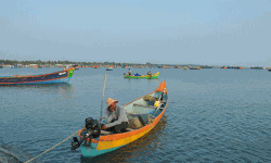 ലോക്ക് ഡൗണ്‍: ഹാര്‍ബറുകളിലെ മത്സ്യത്തിന് വന്‍ ഡിമാന്റ്;  ഇടനിലക്കാരില്ലാതെ വിലനിശ്ചയം