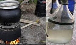 യൂട്യൂബ് നോക്കി ചാരായം വാറ്റിയ അമ്മയും മകനും പിടിയിൽ