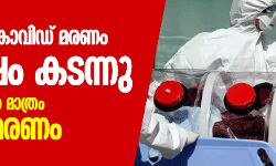 ലോകത്ത് കൊവിഡ് മരണം രണ്ട് ലക്ഷം കടന്നു; അമേരിക്കയില്‍ മാത്രം 54,000 മരണം