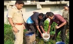 അങ്കമാലിയില്‍ വാറ്റ് ചാരായം നിര്‍മിക്കുന്നതിനായി സൂക്ഷിച്ചിരുന്ന 100 ലിറ്റര്‍ വാഷ് എക്‌സൈസ് പിടികൂടി