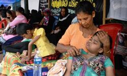 എന്‍ഡോസള്‍ഫാന്‍ ദുരിതബാധിതരുടെ ചികില്‍സയ്ക്കായി രണ്ട് കോടി