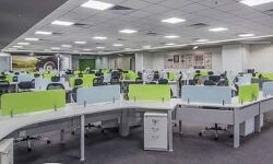 ഐടി കമ്പനികൾക്കും മറ്റു സ്ഥാപനങ്ങൾക്കും സർക്കാർ ഇളവുകൾ പ്രഖ്യാപിച്ചു