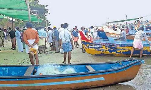 ചോമ്പാല്‍ ഹാര്‍ബര്‍ നാളെ മുതല്‍ പ്രവര്‍ത്തിക്കും; ചില്ലറ വില്‍പ്പനയില്ല