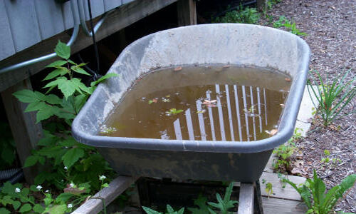 പകര്ച്ചവ്യാധികള്ക്കെതിരെ ജാഗ്രത പുലര്ത്തണം പകര്ച്ചവ്യാധികള്ക്കെതിരെ ജാഗ്രത പുലര്ത്തണം