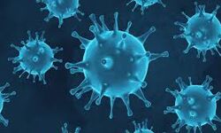 കൊവിഡ് 19: നെയ്യാറ്റിന്‍കരയില്‍ കൂടുതല്‍ പേര്‍ നിരീക്ഷണത്തില്‍